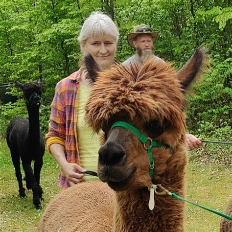 g tur med alpaca kbenhavn|Gåtur med alpaca